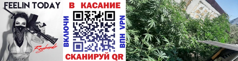 Где можно купить наркотики Среднеуральск кракен рабочий сайт  Cocaine  Гашиш  БУТИРАТ  Мефедрон  Псилоцибиновые грибы  Канабис 