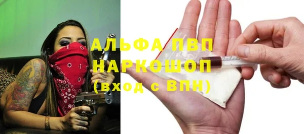 молекула духа Балахна