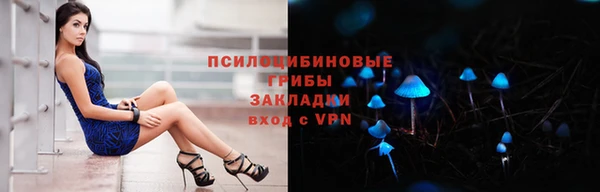 молекула духа Балахна