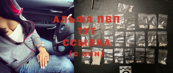 молекула духа Балахна