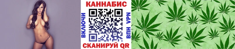 купить   OMG ONION  Бошки Шишки ГИДРОПОН  Среднеуральск 